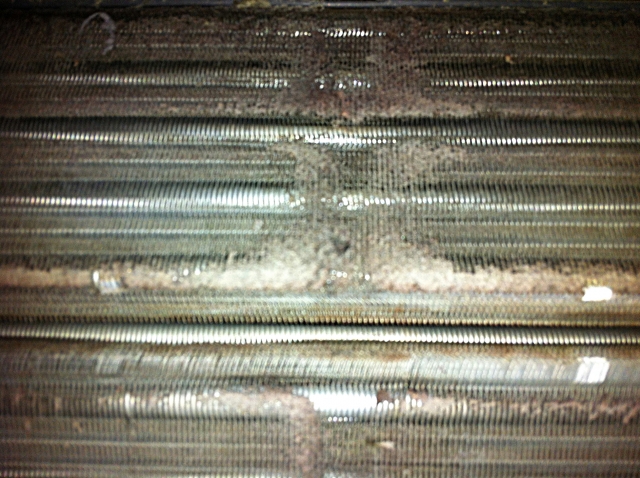 クリーニング事例画像